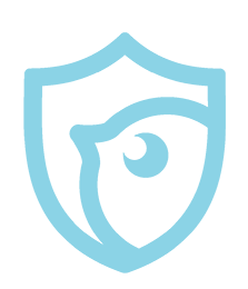 Secure icon blue1